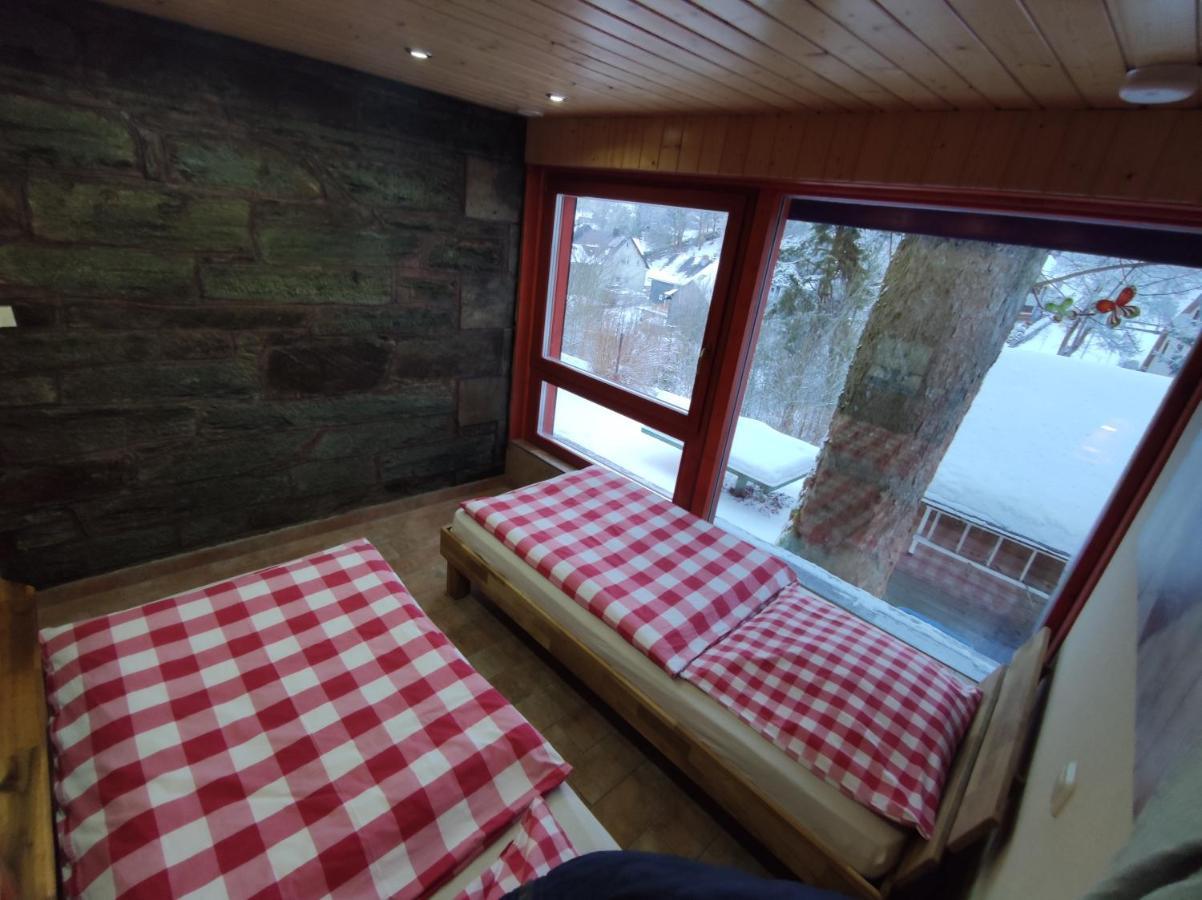 Apartament Waldluftin Lauscha Zewnętrze zdjęcie