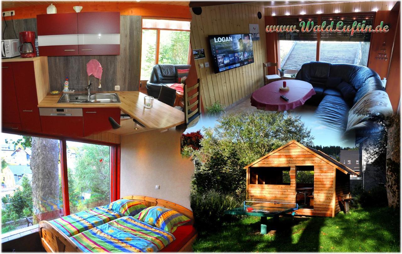 Apartament Waldluftin Lauscha Zewnętrze zdjęcie